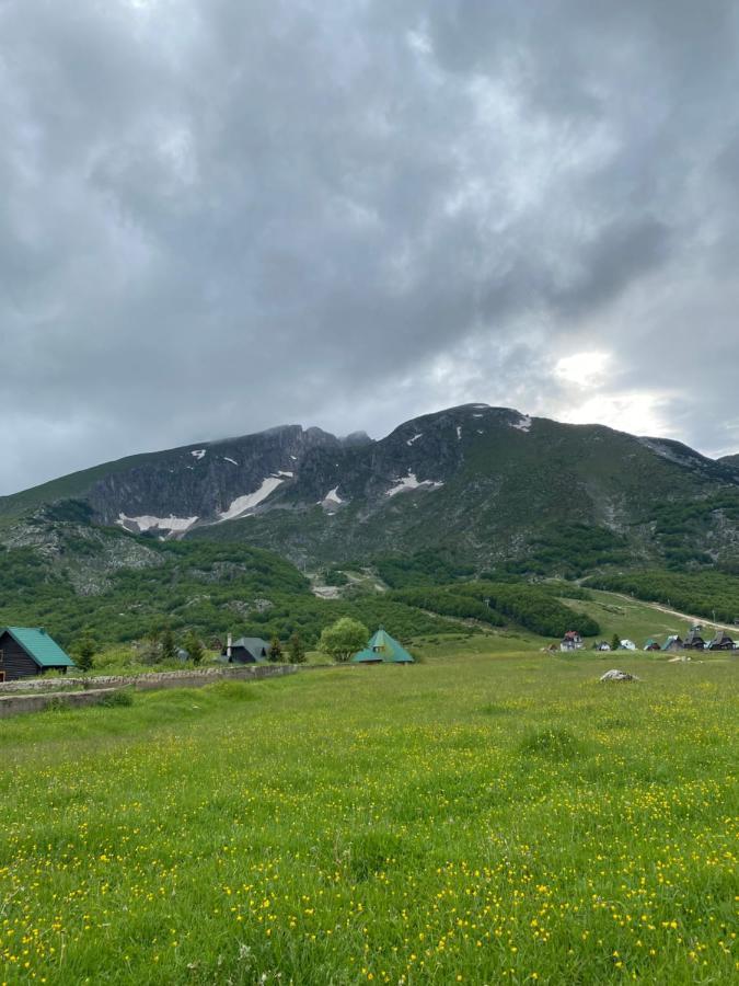 Guesthouse Andrea A Zabljak  Exterior photo