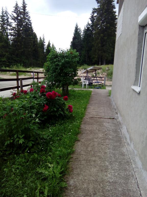 Guesthouse Andrea A Zabljak  Exterior photo